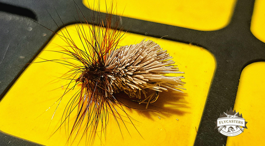 Goddard Caddis